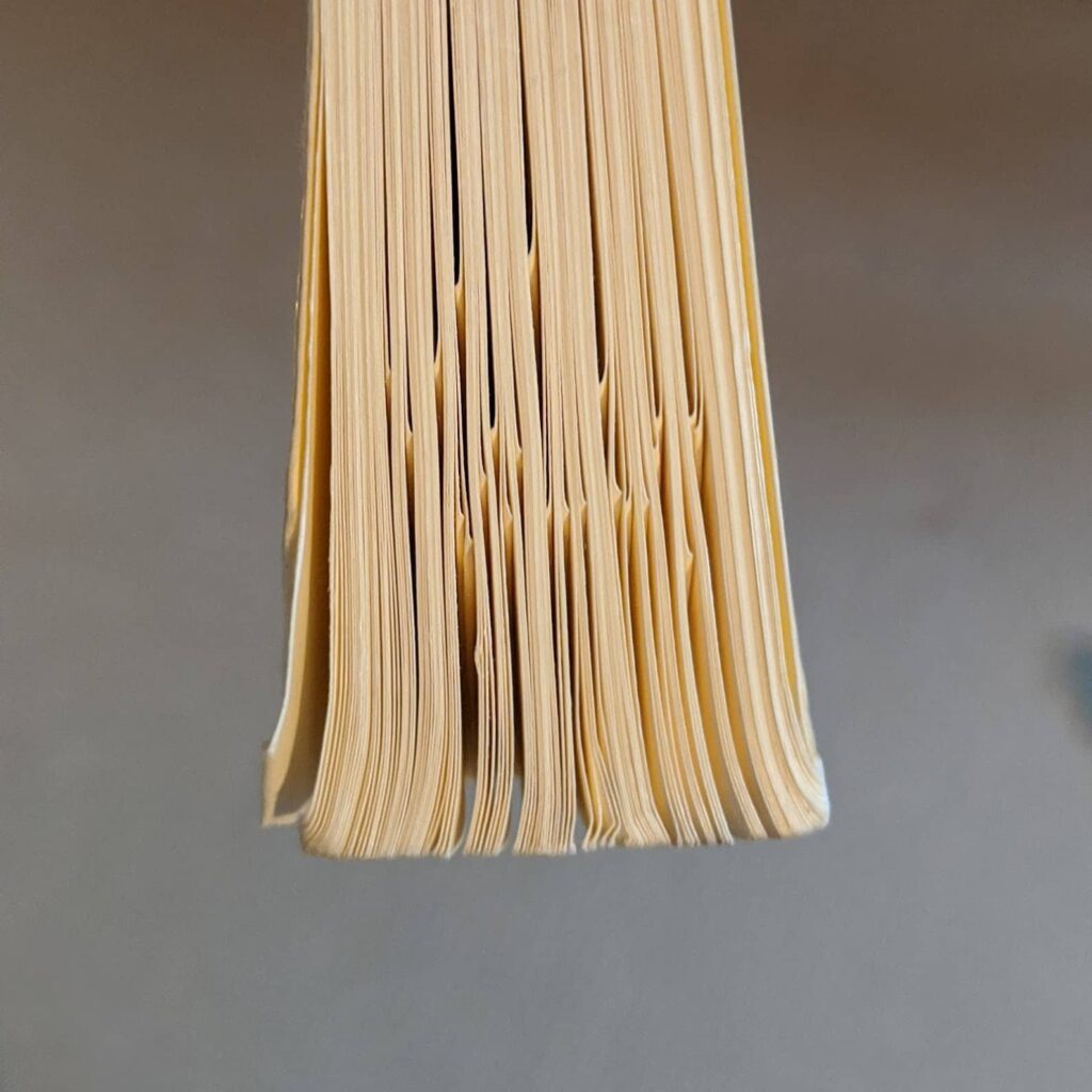 Close-up view of notebook pages fanned out showing the pages' texture