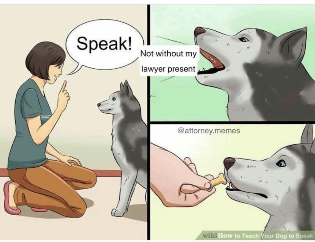 Meme showing dog refusing to speak without lawyer present, then happily accepts petting