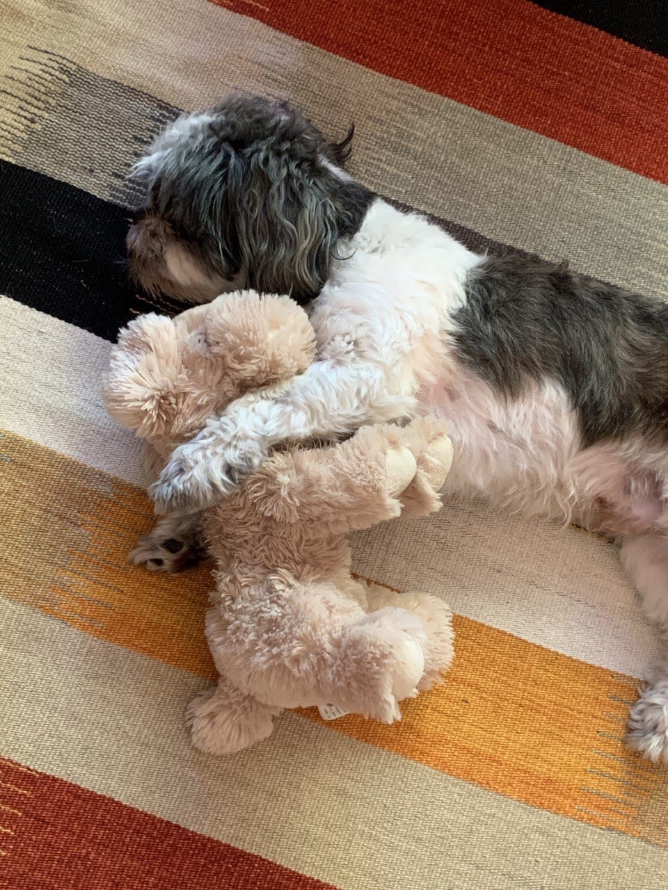 A puppy and its dog toy lying on a colourful striped blanket with red, orange, tan and white stripes