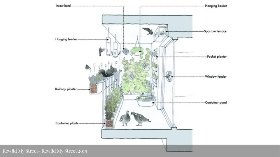 Rewild My Street 2019 - diagram showing urban farming setup with planted containers, feeders, pond, and labeled elements for urban food production