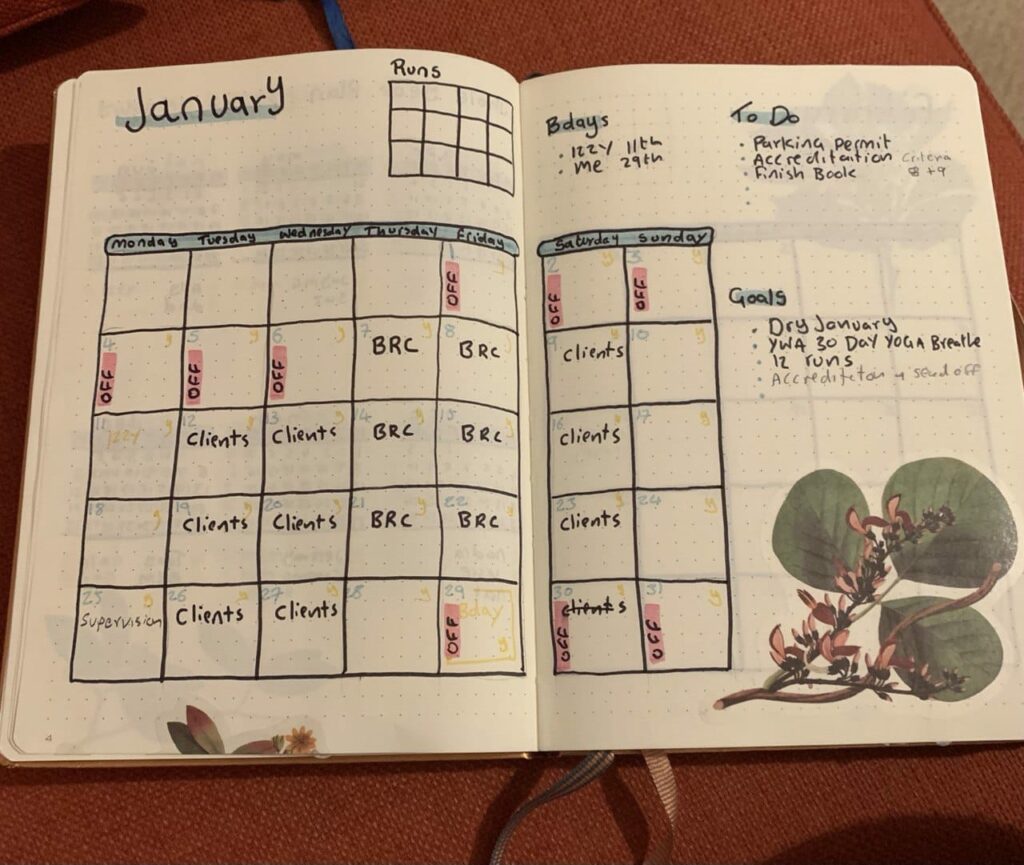 Flat-lay photo of double-page bullet journal spread with January calendar, clients schedule, goals and plant image
