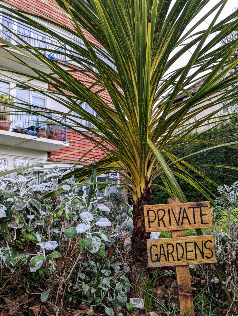 Palm tree with striped green leaves above Private Gardens sign in urban garden setting