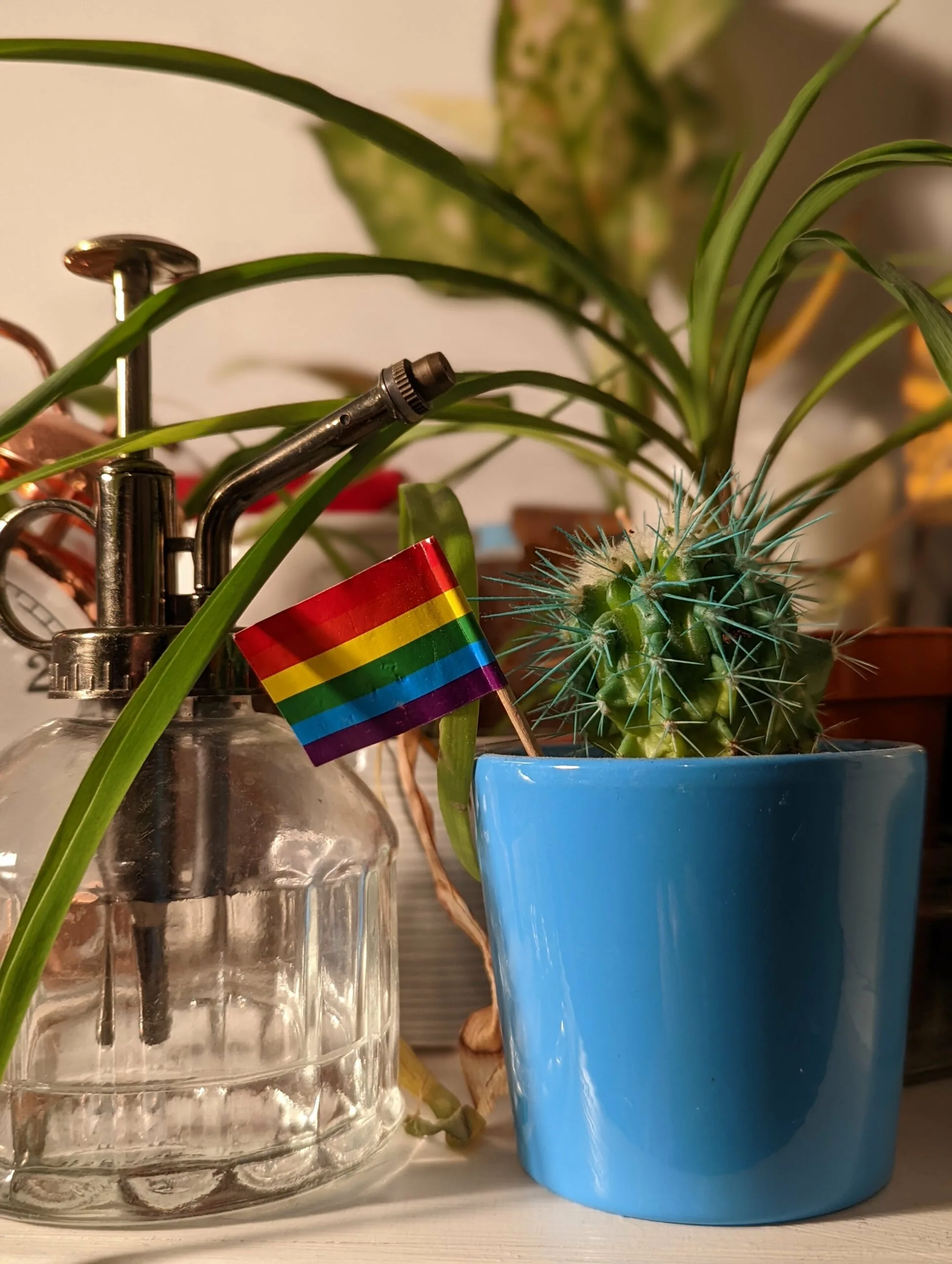 Potted plants with rainbow flag including cactus in blue pot and spider plant