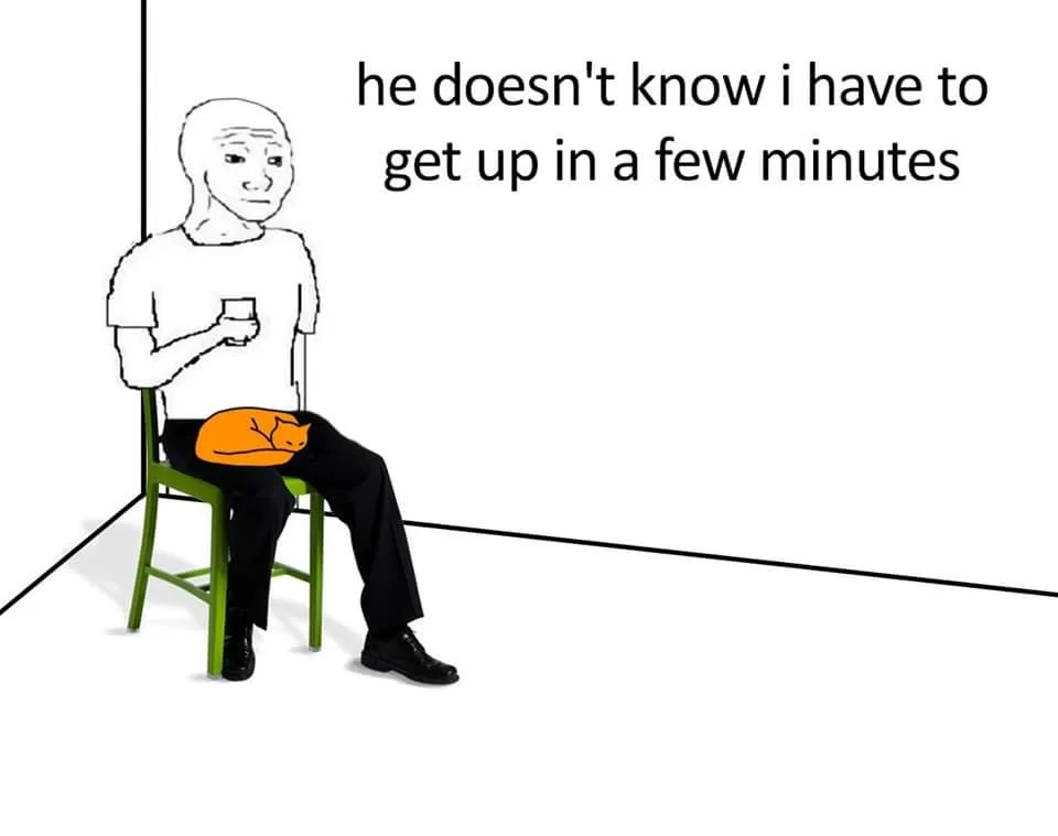 Wojak meme of a man sitting on a chair with an orange cat sleeping on his lap. Text: he doesn't know i have to get up in a few minutes.