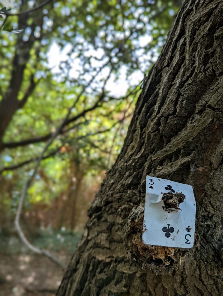 A weathered three of clubs playing card pinned to the rough bark of a tree trunk in a leafy forest.