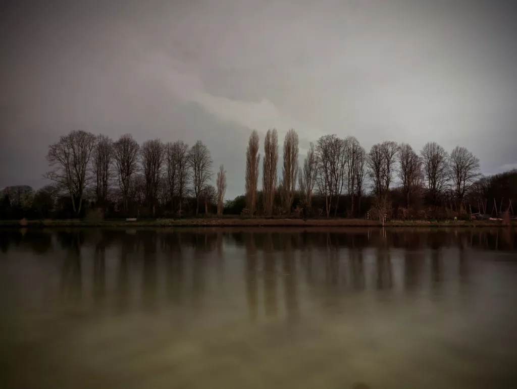 Bare trees and tall poplars reflected in a calm, dark lake under a heavy, overcast night sky.