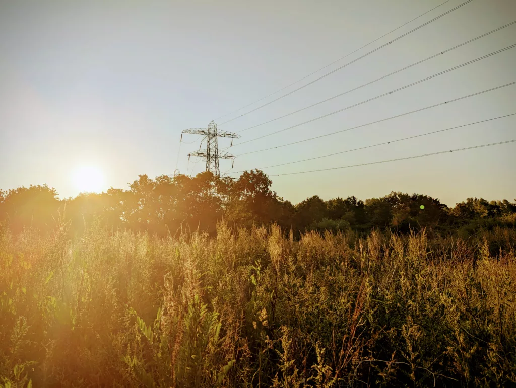 Golden sunset light glowing through a field of tall wild grass toward a power pylon and overhead lines against a clear sky.