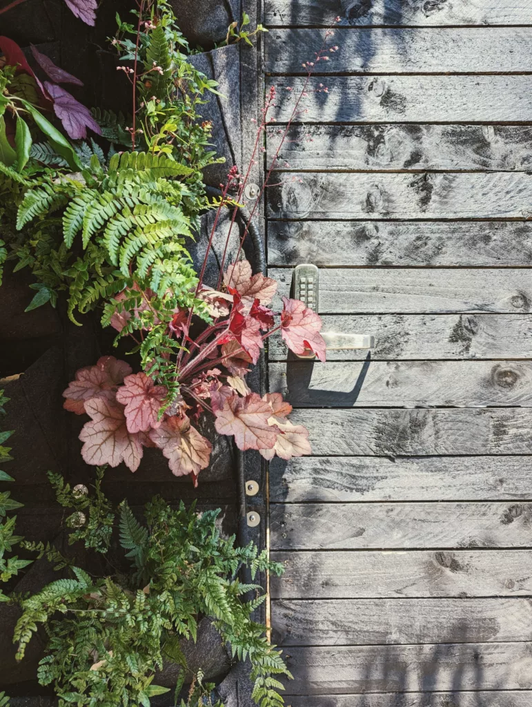 Ferns and reddish-pink coral bells in a vertical planter beside a grey wooden plank door with a digital keypad lock and handle.