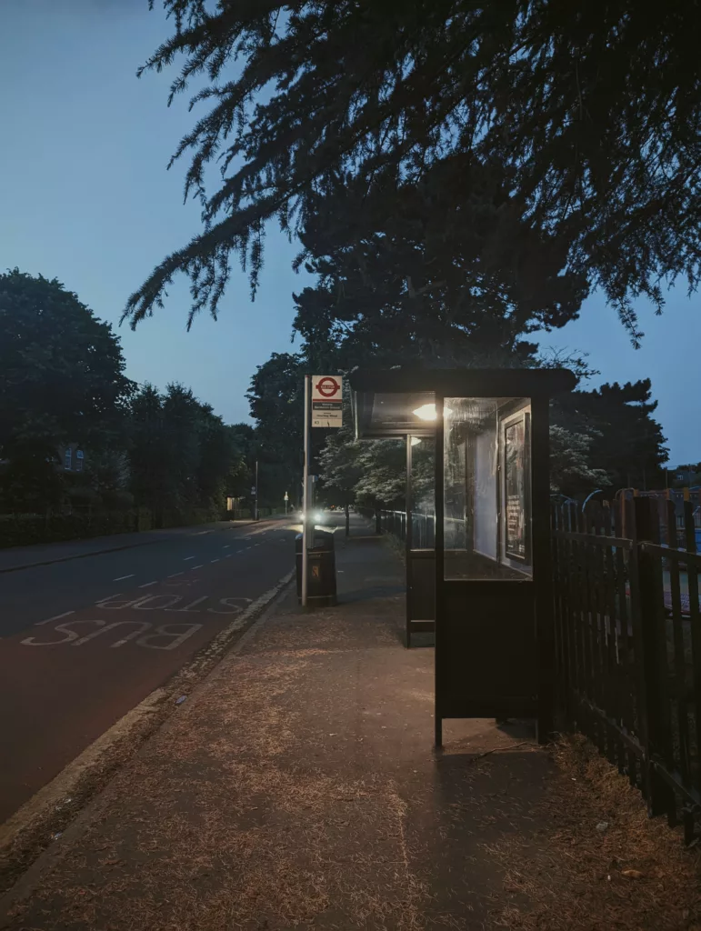 An illuminated bus stop at dusk under the overhanging branches of a large tree beside a quiet road with a deep blue sky.
