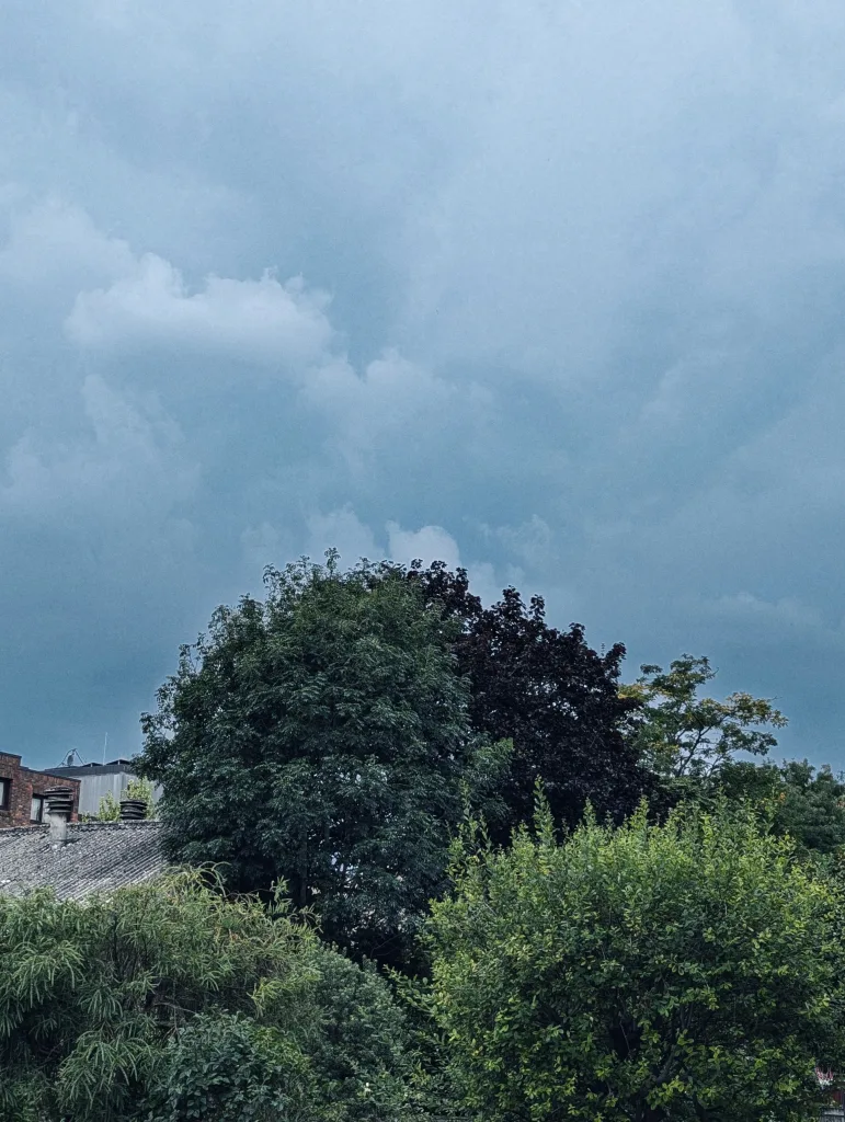Dense green and dark purple trees beneath a heavy, moody blue-grey overcast sky.