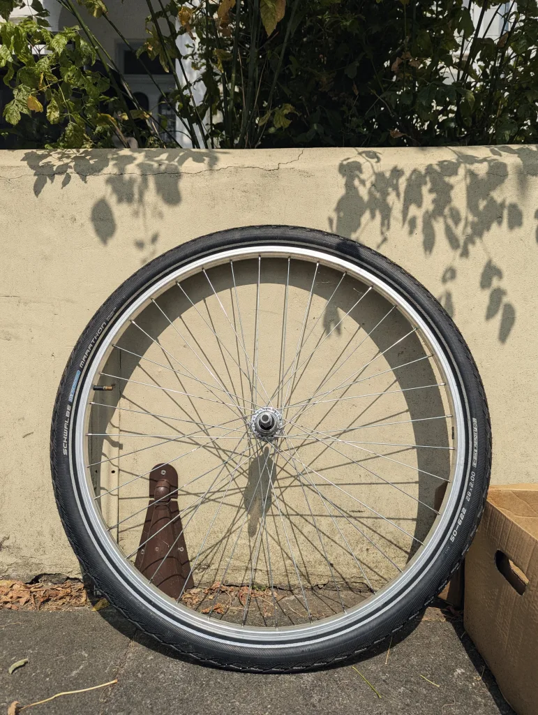 A bicycle wheel with silver spokes and a Schwalbe Marathon tire leaning against a low beige wall dappled with leaf shadows.
