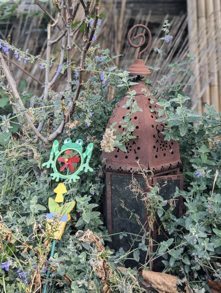 A rusty Moroccan lantern and a green frog garden ornament with a red spinning flower nestled in thick green foliage and tiny purple flowers.