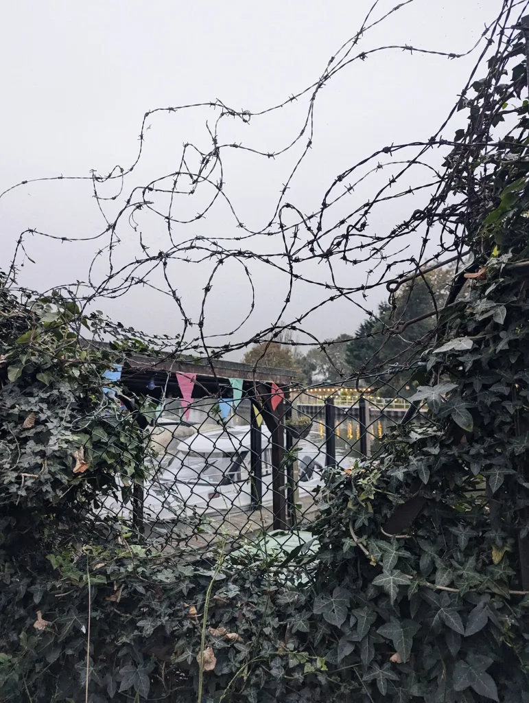 Tangled loops of barbed wire and thick ivy frame a view of a white boat and colourful bunting under a grey sky.