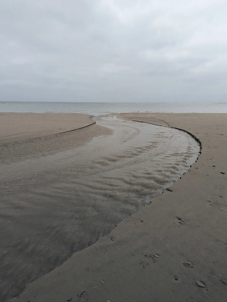 A shallow stream carves a winding path through a wide sandy beach towards the ocean under a grey, overcast sky.