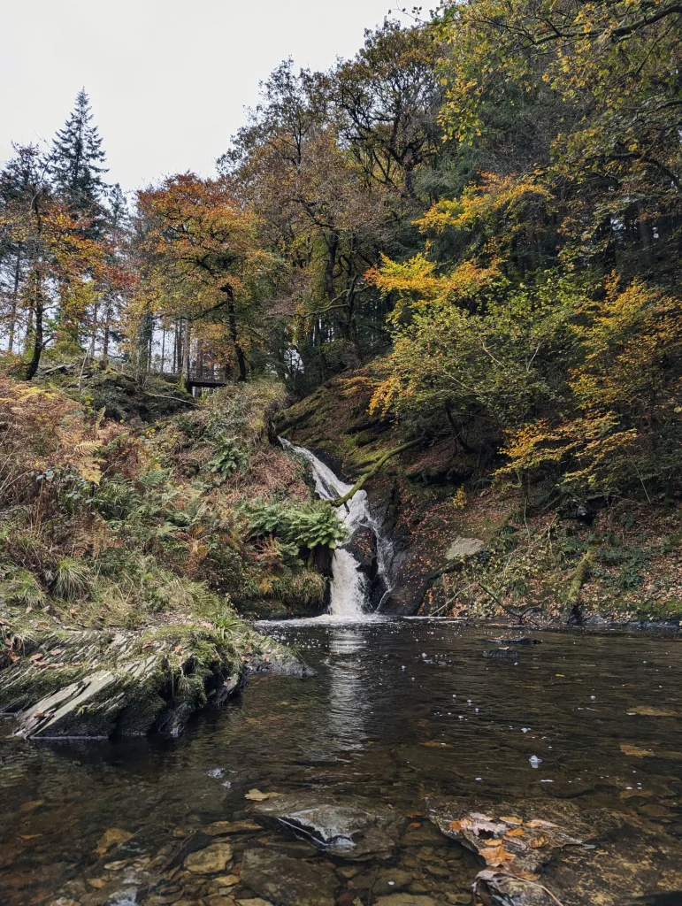 A waterfall flows into a dark pool surrounded by autumnal trees with orange and green leaves under a pale sky.