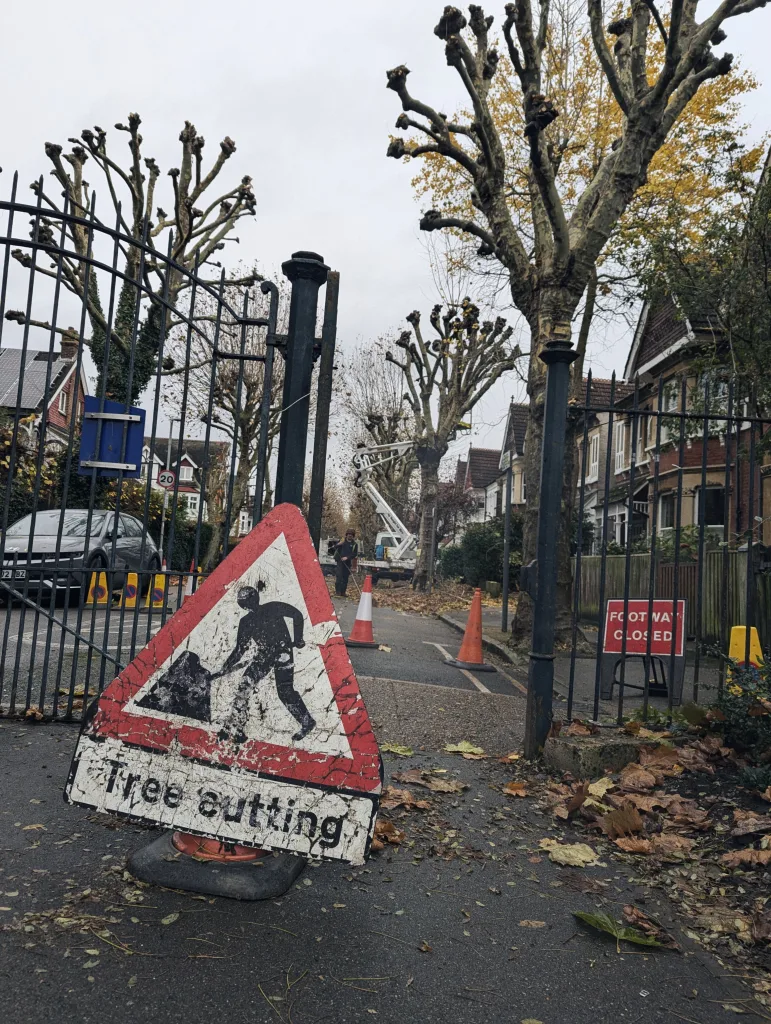 A battered Tree cutting sign on a leaf-strewn street. In the background, a cherry picker prunes pollarded trees behind black iron gates.