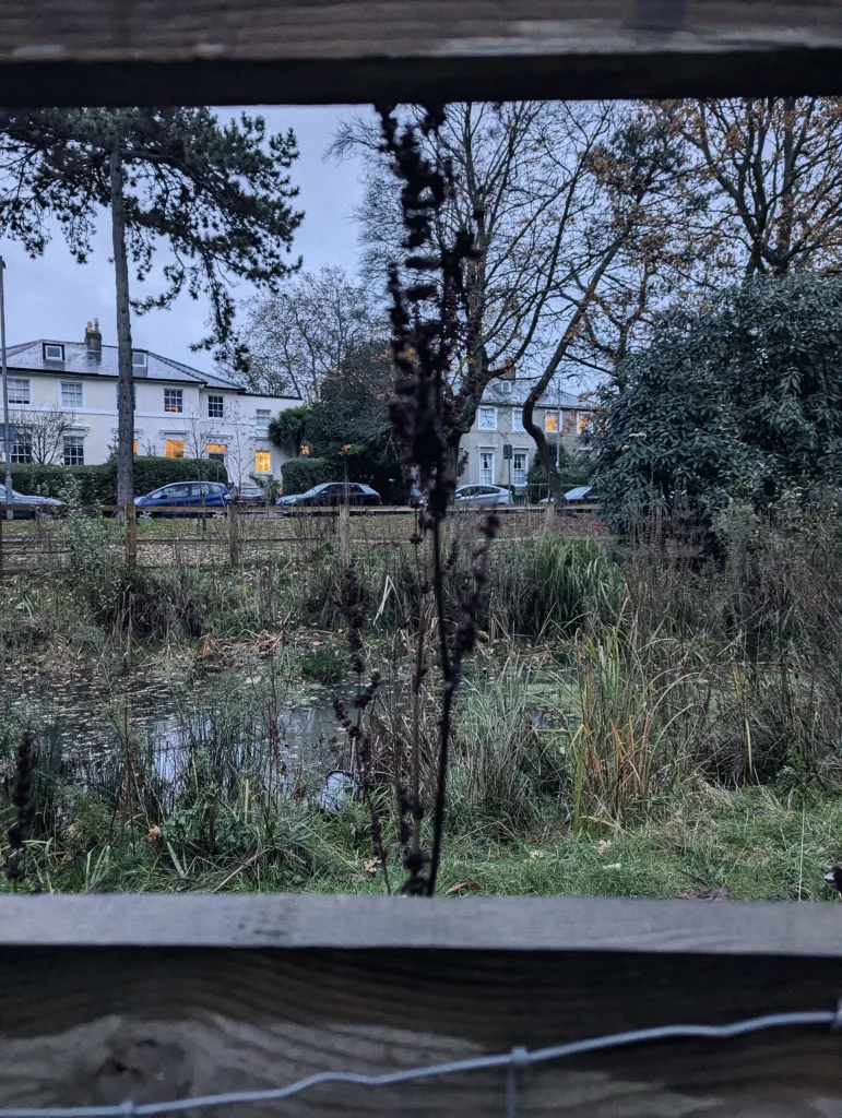 A view from a wooden bird hide looking over a marshy pond toward large houses with glowing windows at dusk.