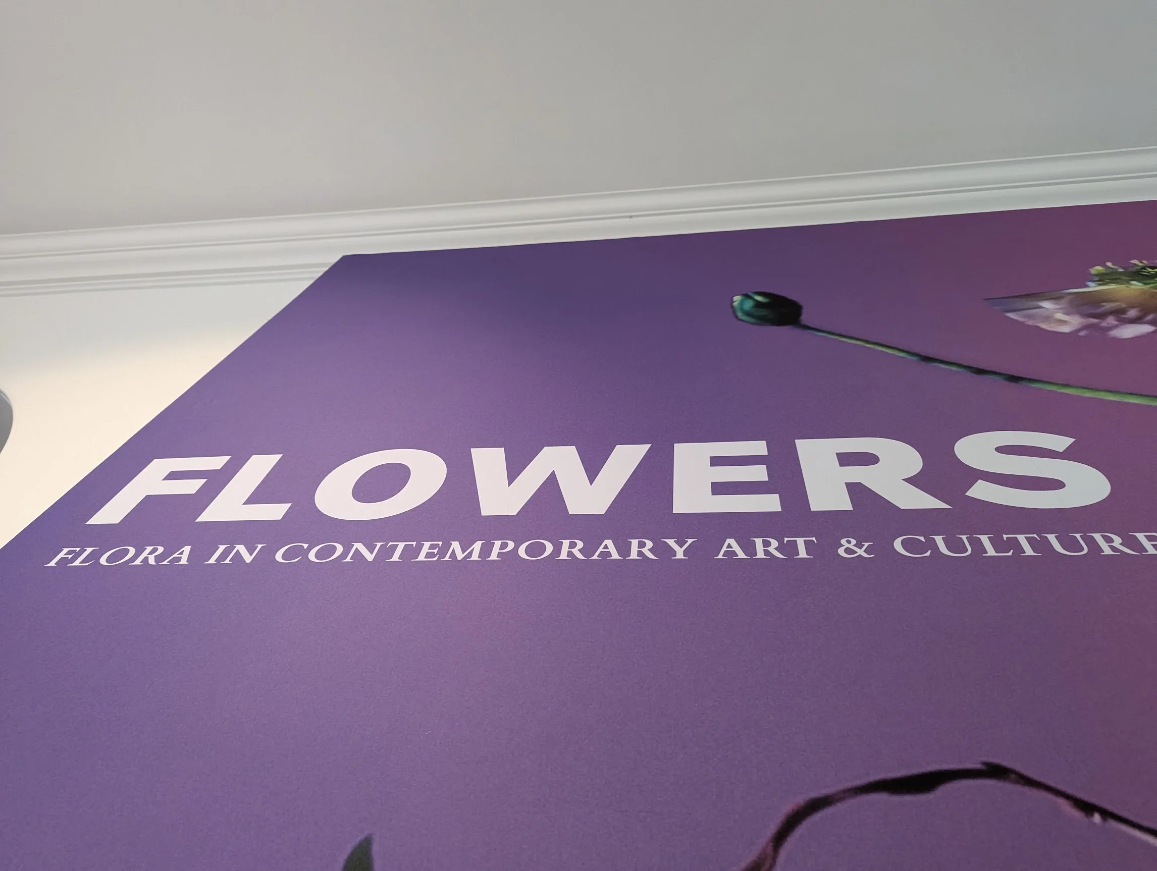Low angle view of a purple gallery wall featuring white text: FLOWERS, FLORA IN CONTEMPORARY ART & CULTURE.
