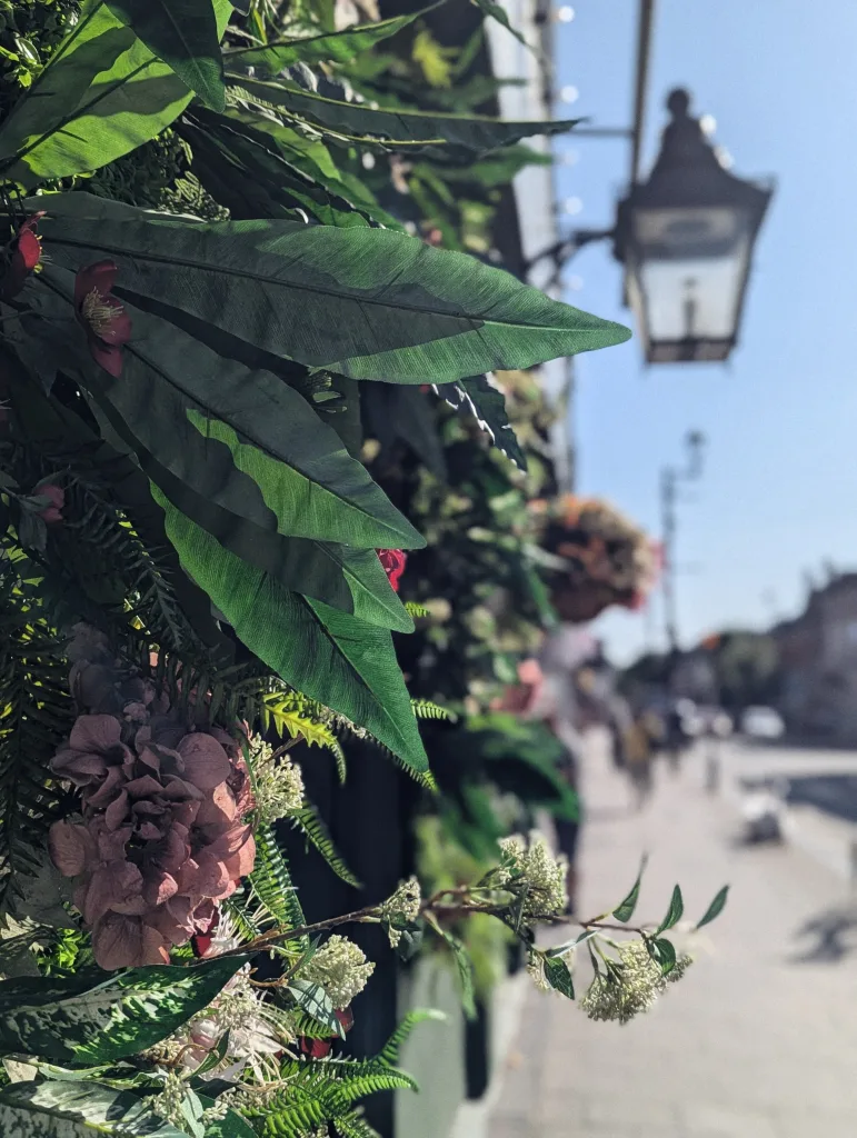 Lush green leaves and pink flowers on a wall overlooking a sunny, blurred street with a traditional street lamp and blue sky.