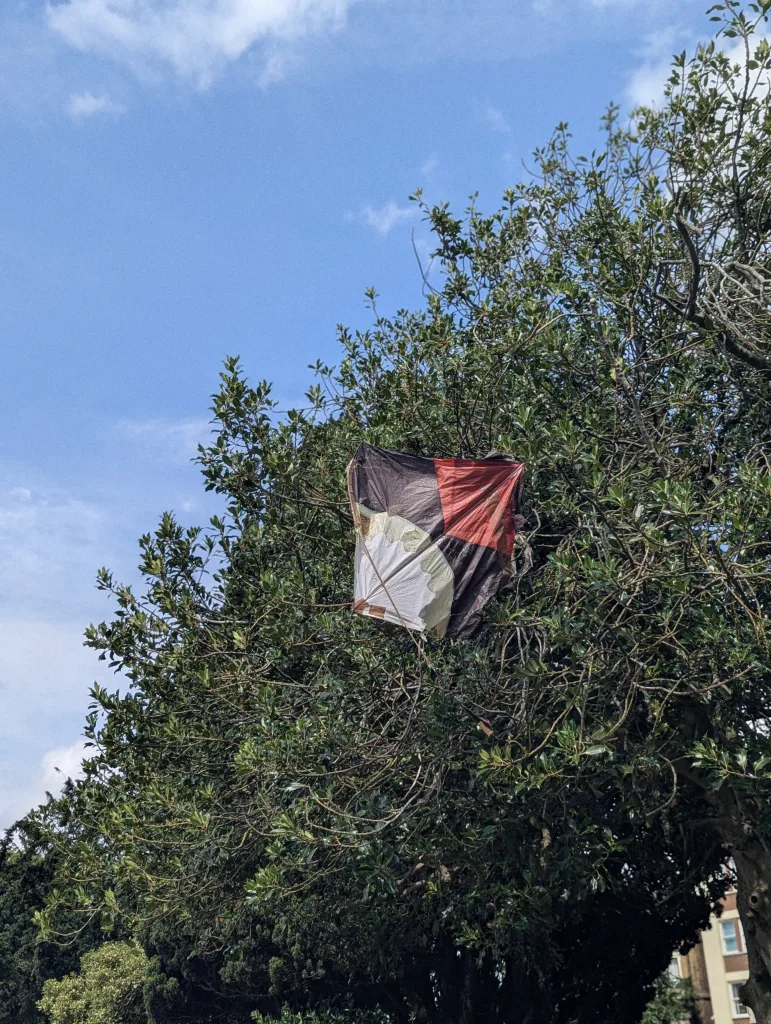 A red, black, and white kite caught in the upper branches of a leafy green tree against a blue sky.