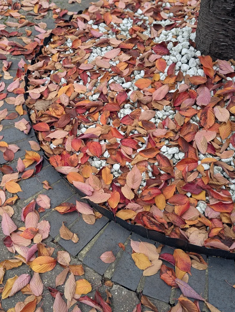 Vibrant red, orange, and pink autumn leaves scattered over white decorative gravel and dark grey paving stones around the base of a tree.