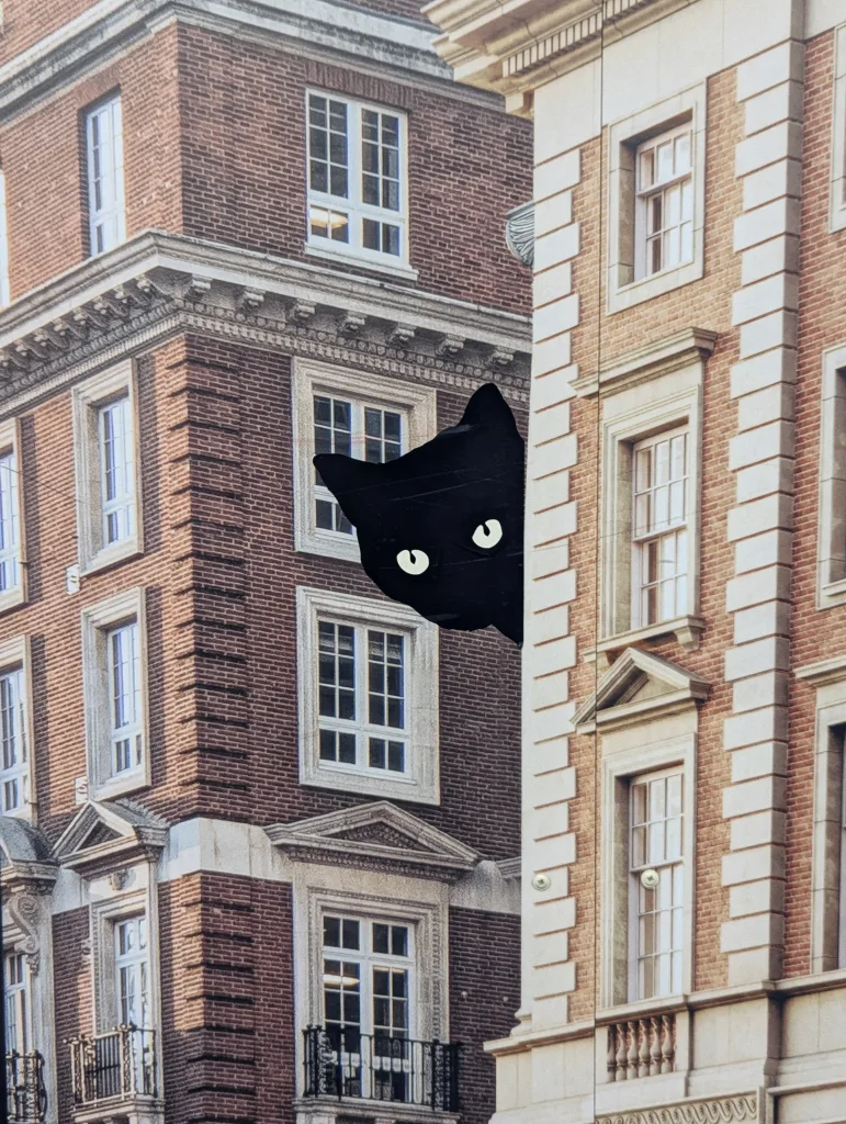 A black cat illustration with glowing yellow eyes peeking from behind the corner of a red brick building.