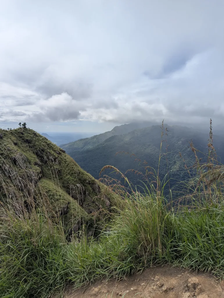Tall grass in the foreground overlooking steep green mountain slopes and misty valleys under a cloudy sky.
