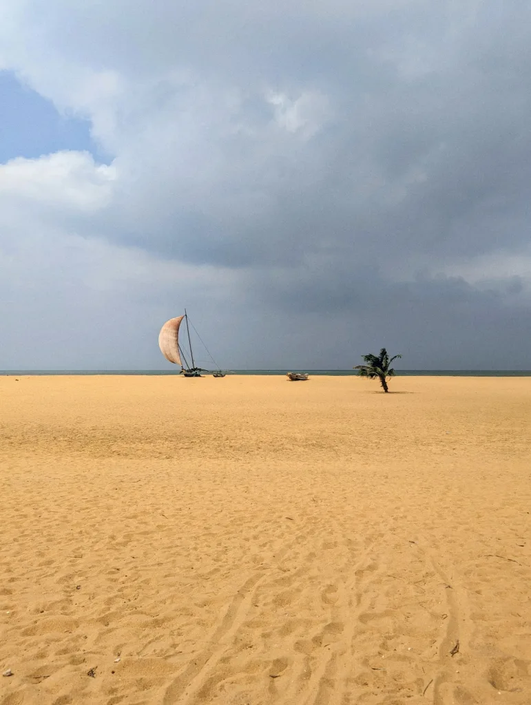A sailboat with a curved tan sail on a vast expanse of golden sand near a lone palm tree under a moody, overcast sky.