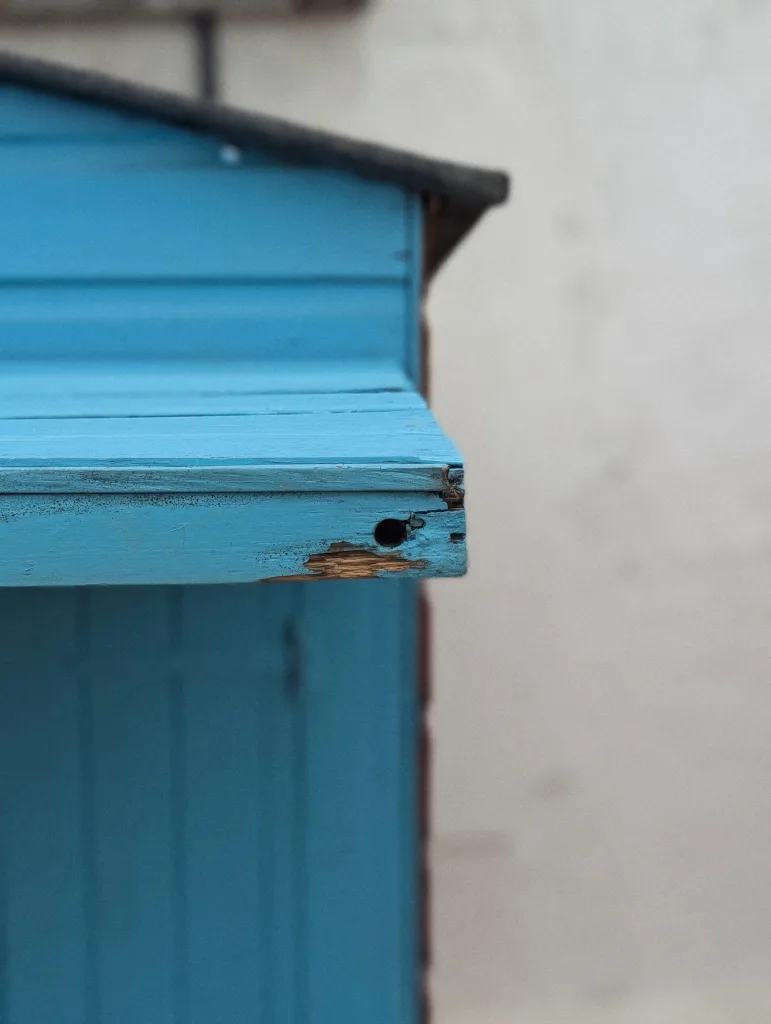 A close-up portrait of a bright blue painted wooden shed ledge with chipped paint and a hole, against a plain white wall.